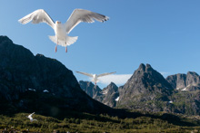 Ryan and Vivian Aug 2019